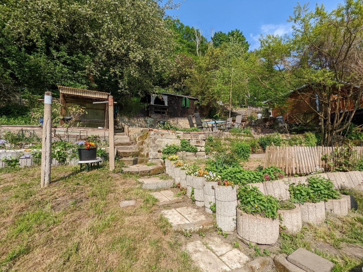 Urlaubsmagie - 5 Fussminuten Zur Elbe, Garten, Pool - R2 Rathmannsdorf Zewnętrze zdjęcie